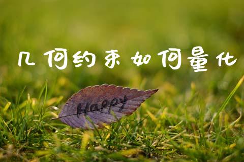 几何约束如何量化_https://wap.lcpcjs.com_外汇市场_第1张
