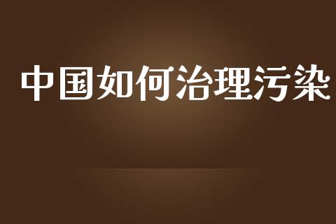 中国如何治理污染_https://wap.lcpcjs.com_股港行情_第1张
