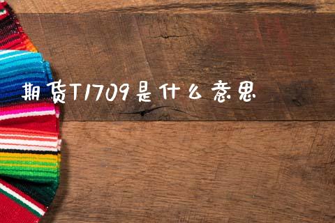 期货T1709是什么意思_https://wap.lcpcjs.com_美股行情_第1张