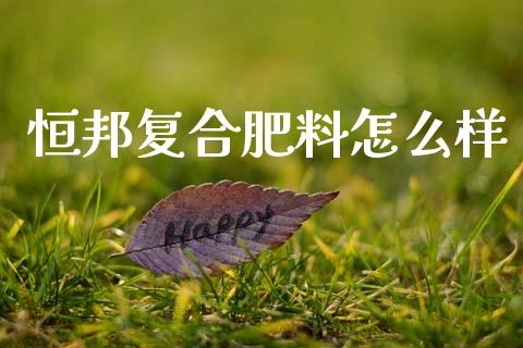 恒邦复合肥料怎么样_https://wap.lcpcjs.com_美股行情_第1张