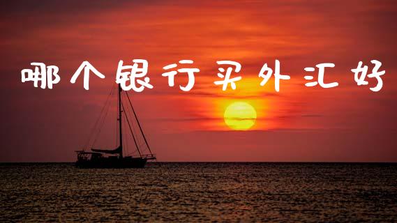 哪个银行买外汇好_https://wap.lcpcjs.com_全球经济_第1张