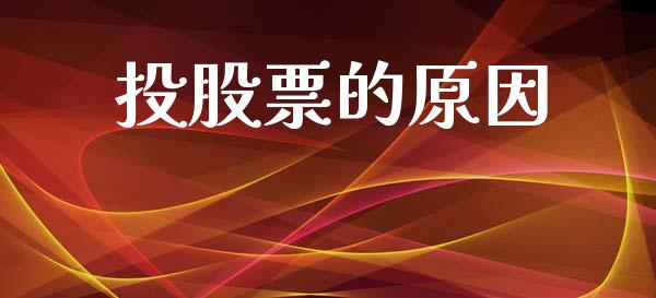 投股票的原因_https://wap.lcpcjs.com_美股行情_第1张
