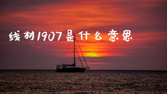 线材1907是什么意思_全球经济_第1张_全球经济_美股行情_外汇市场_股港行情 线材1907是什么意思_https://wap.lcpcjs.com_全球经济_第1张