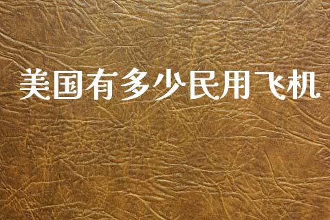 美国有多少民用飞机_https://wap.lcpcjs.com_美股行情_第1张