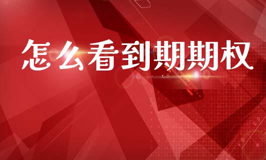怎么看到期期权_https://wap.lcpcjs.com_外汇市场_第1张