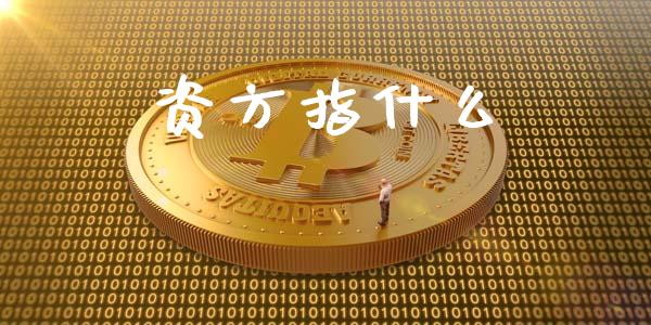 资方指什么_https://wap.lcpcjs.com_美股行情_第1张