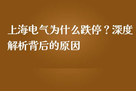 上海电气为什么跌停？深度解析背后的原因_https://wap.lcpcjs.com_股港行情_第1张