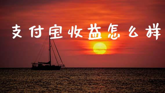 支付宝收益怎么样_https://wap.lcpcjs.com_外汇市场_第1张