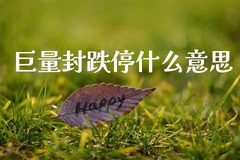 巨量封跌停什么意思_https://wap.lcpcjs.com_外汇市场_第1张