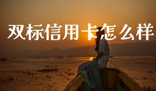 双标信用卡怎么样_https://wap.lcpcjs.com_全球经济_第1张
