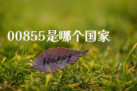 00855是哪个国家_https://wap.lcpcjs.com_股港行情_第1张