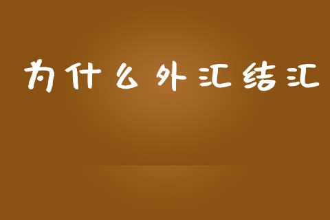 为什么外汇结汇_https://wap.lcpcjs.com_美股行情_第1张