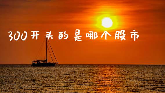 300开头的是哪个股市_https://wap.lcpcjs.com_全球经济_第1张