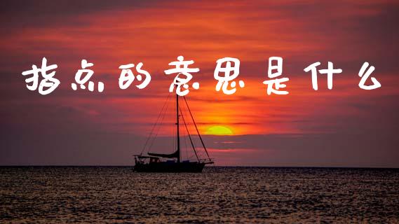指点的意思是什么_https://wap.lcpcjs.com_全球经济_第1张