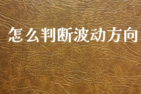 怎么判断波动方向_https://wap.lcpcjs.com_股港行情_第1张