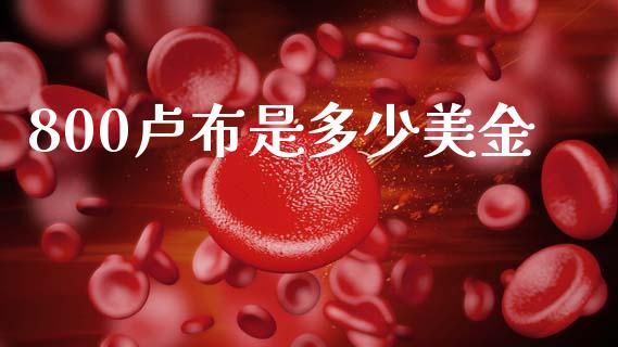 800卢布是多少美金_https://wap.lcpcjs.com_股港行情_第1张