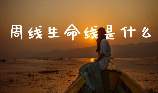 周线生命线是什么_https://wap.lcpcjs.com_外汇市场_第1张