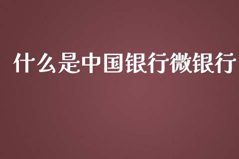 什么是中国银行微银行_https://wap.lcpcjs.com_股港行情_第1张