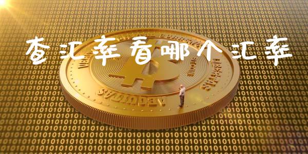 查汇率看哪个汇率_https://wap.lcpcjs.com_全球经济_第1张