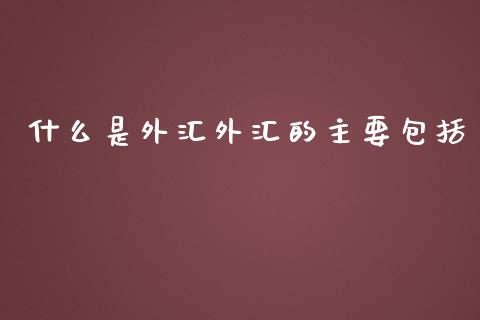 什么是外汇外汇的主要包括_https://wap.lcpcjs.com_美股行情_第1张