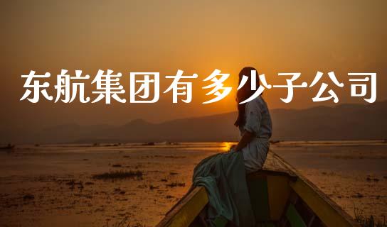 东航集团有多少子公司_https://wap.lcpcjs.com_全球经济_第1张