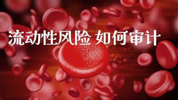 流动性风险 如何审计_https://wap.lcpcjs.com_全球经济_第1张