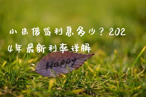 小米借贷利息多少？2024年最新利率详解_https://wap.lcpcjs.com_全球经济_第1张