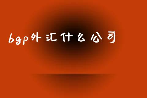 bgp外汇什么公司_https://wap.lcpcjs.com_股港行情_第1张