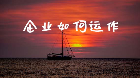 企业如何运作_https://wap.lcpcjs.com_股港行情_第1张