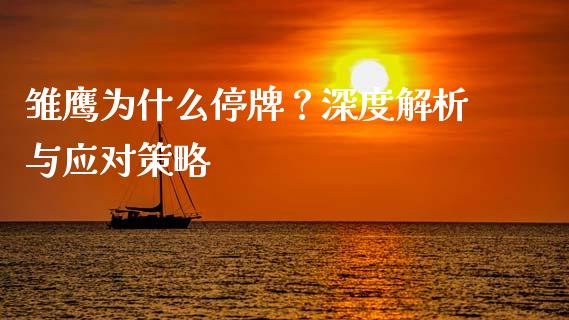雏鹰为什么停牌？深度解析与应对策略_https://wap.lcpcjs.com_外汇市场_第1张