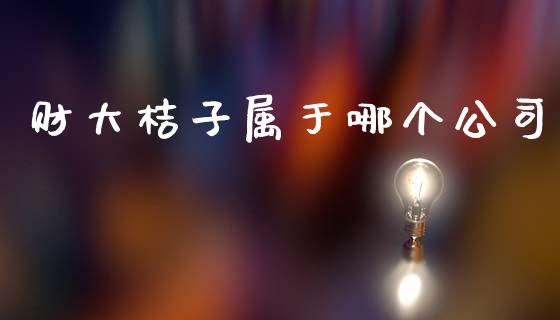 财大桔子属于哪个公司_https://wap.lcpcjs.com_美股行情_第1张