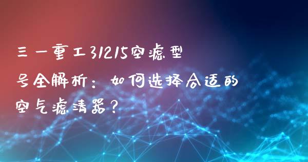 三一重工31215空滤型号全解析：如何选择合适的空气滤清器？_https://wap.lcpcjs.com_美股行情_第1张