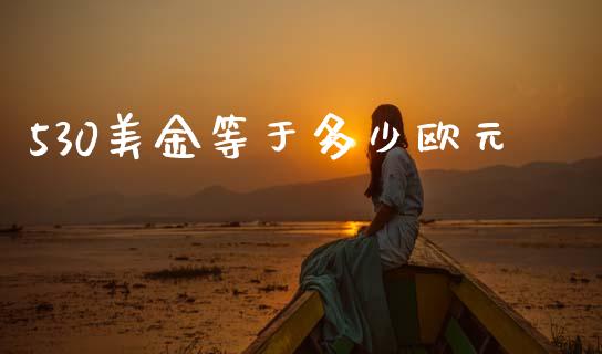 530美金等于多少欧元_https://wap.lcpcjs.com_全球经济_第1张