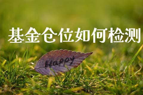 基金仓位如何检测_https://wap.lcpcjs.com_全球经济_第1张