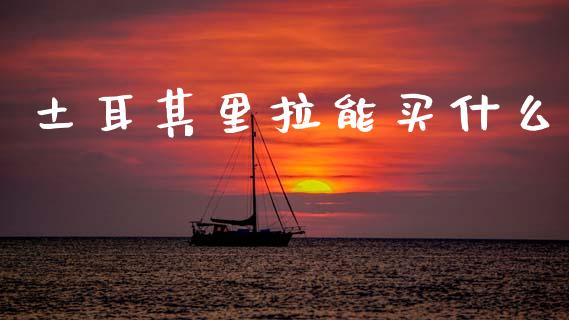 土耳其里拉能买什么_https://wap.lcpcjs.com_外汇市场_第1张