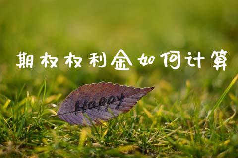 期权权利金如何计算_https://wap.lcpcjs.com_美股行情_第1张