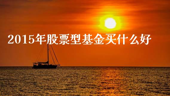 2015年股票型基金买什么好_https://wap.lcpcjs.com_美股行情_第1张
