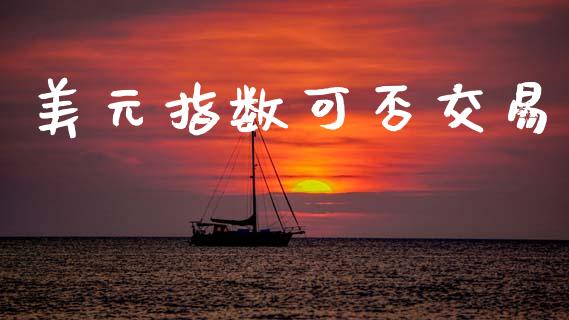 美元指数可否交易_https://wap.lcpcjs.com_全球经济_第1张