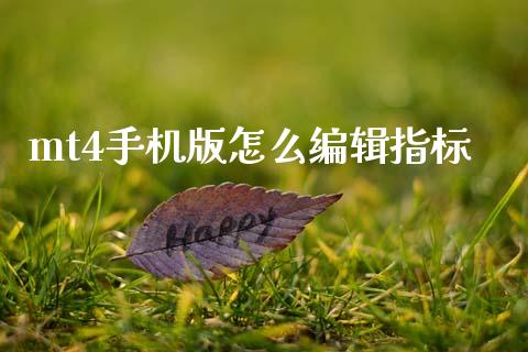 mt4手机版怎么编辑指标_https://wap.lcpcjs.com_外汇市场_第1张