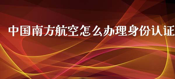 中国南方航空怎么办理身份认证_https://wap.lcpcjs.com_股港行情_第1张