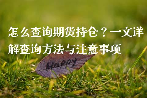 怎么查询期货持仓？一文详解查询方法与注意事项_https://wap.lcpcjs.com_美股行情_第1张