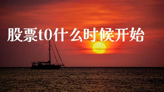 股票t0什么时候开始_https://wap.lcpcjs.com_美股行情_第1张