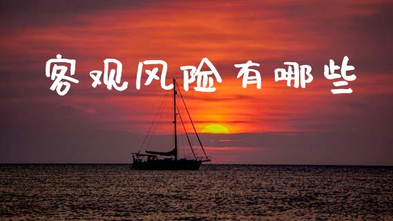 客观风险有哪些_https://wap.lcpcjs.com_外汇市场_第1张