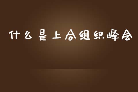 什么是上合组织峰会_https://wap.lcpcjs.com_全球经济_第1张