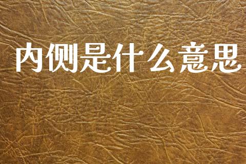 内侧是什么意思_https://wap.lcpcjs.com_外汇市场_第1张