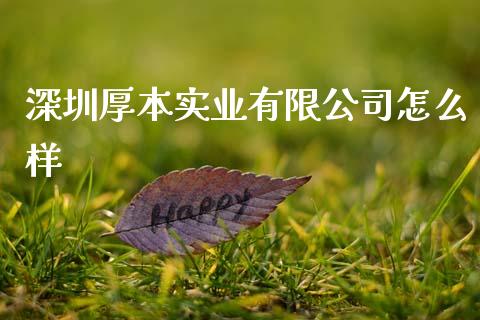 深圳厚本实业有限公司怎么样_https://wap.lcpcjs.com_全球经济_第1张