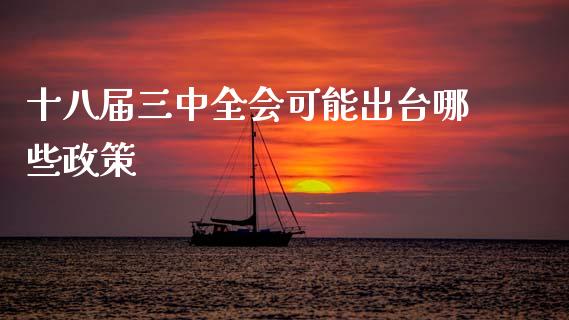 十八届三中全会可能出台哪些政策_https://wap.lcpcjs.com_外汇市场_第1张