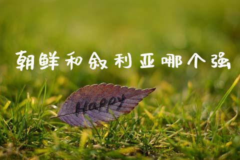 朝鲜和叙利亚哪个强_https://wap.lcpcjs.com_美股行情_第1张