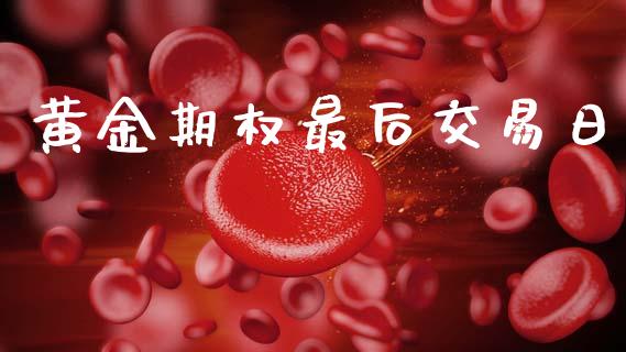 黄金期权最后交易日_https://wap.lcpcjs.com_外汇市场_第1张