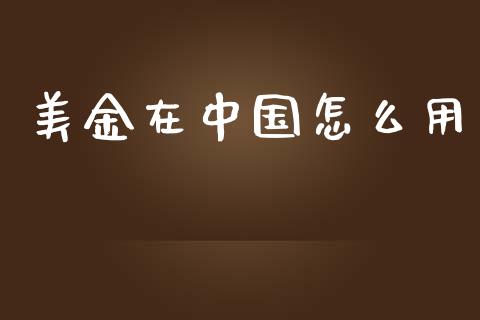 美金在中国怎么用_https://wap.lcpcjs.com_美股行情_第1张
